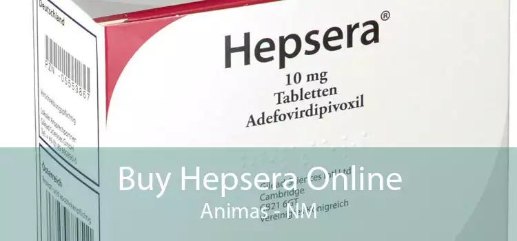 Buy Hepsera Online Animas - NM