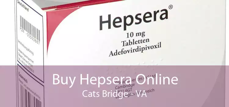 Buy Hepsera Online Cats Bridge - VA